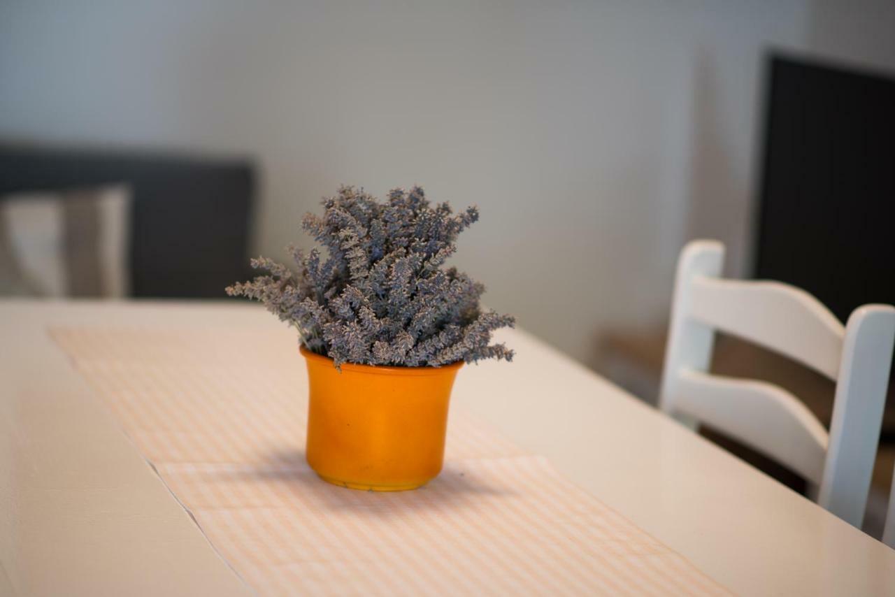 Apartman Babic 克尔克 外观 照片